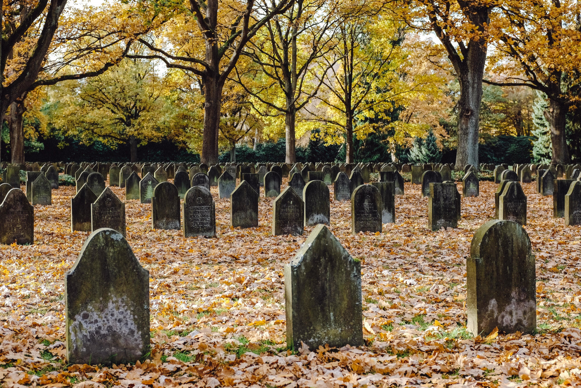 Traditional Burial Services